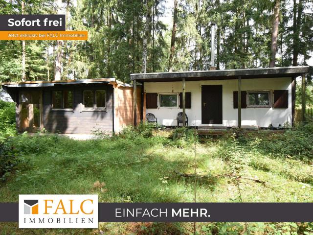 Ferienhaus Wochenendhaus im Wald zum Herrichten!