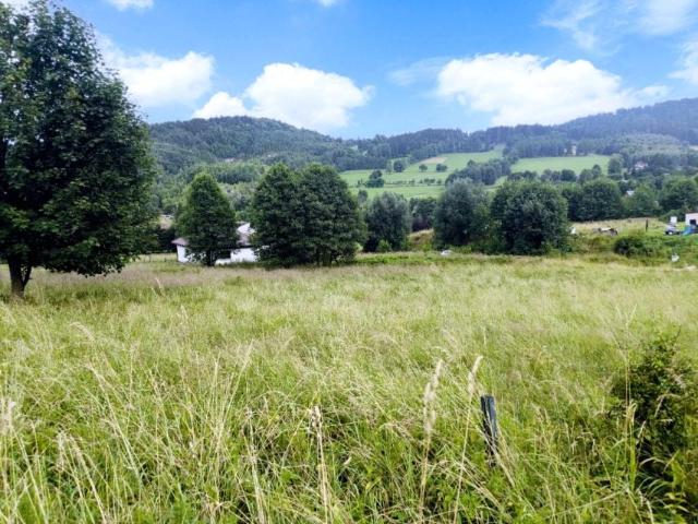 Wodna 1 380 m², Stronie Wieś