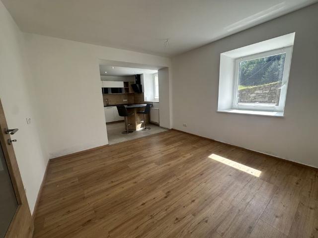 WOHLFÜHLOASE IM GRÜNEN MIT TERRASSE, WEINLAUBE UND SCHÖNEM AUSBLICK! NUR WENIGE MINUTEN VOM STADTZENTRUM ENTFERNT!