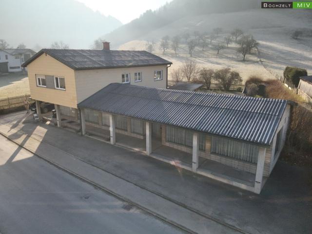 Wohn und Geschäftshaus mit Großem Garten in St. Stefan ob Leoben
