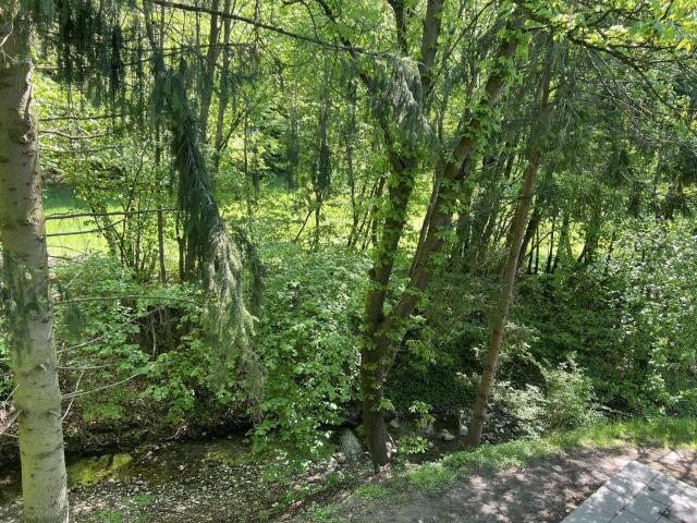Wohnen am Bach!