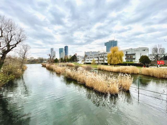 Wohnen am Freizeitparadies Alte Donau Nähe UNO City