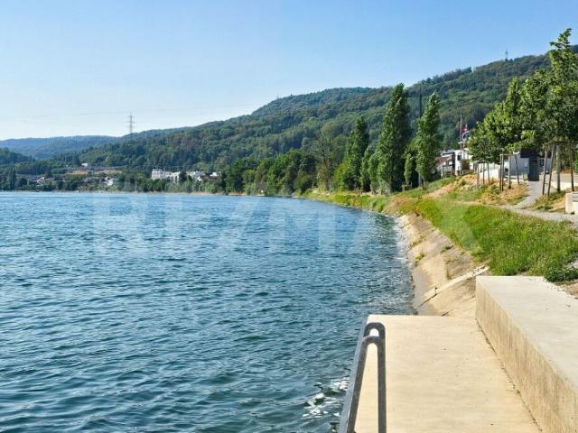 Wohnen am Rhein