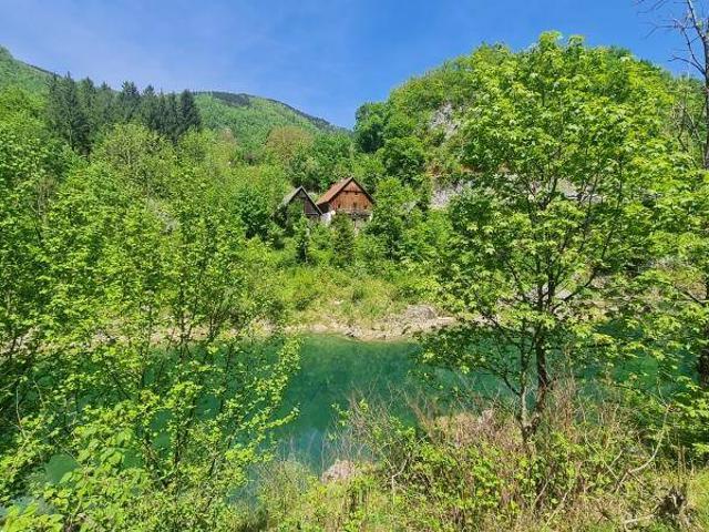 Wohnen am Wasser in grüner Idylle!