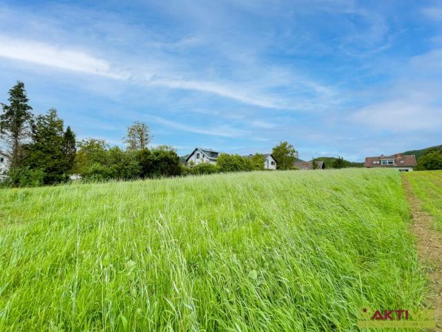 Wohnen im Grünen mit Stadtnähe. Baugrundstücke in Weinitzen, nur 5 Min. nach Graz