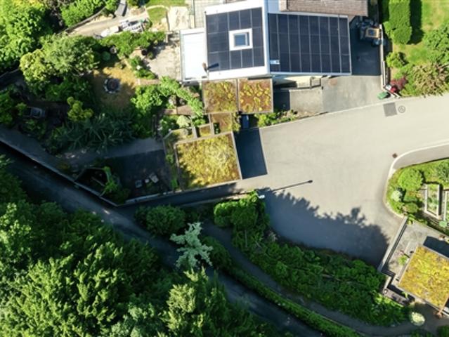Wohnen im Grünen – Gartenparadies & Wald direkt vor der Tür