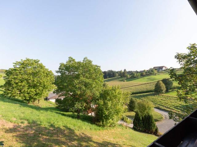 Wohnen im Grünen – Haus mit viel Platz und Natur in Stallhofen