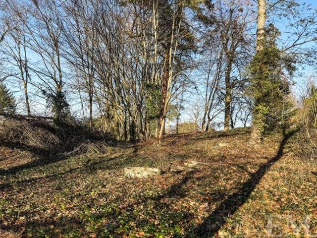 Wohnen im Einklang mit der Natur – Großzügiges Baugrundstück im Wald