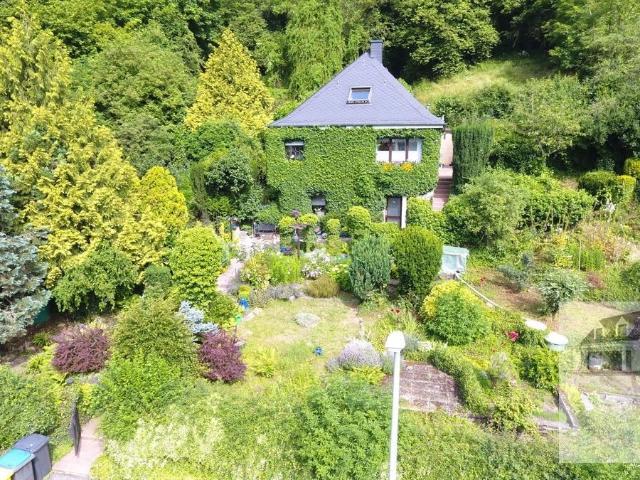 Wohnen in der grünen Lunge von Bad Ems Provisionsfrei für Käufer