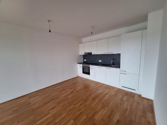 Wohnen mit einzigartigem Blick auf Linz!