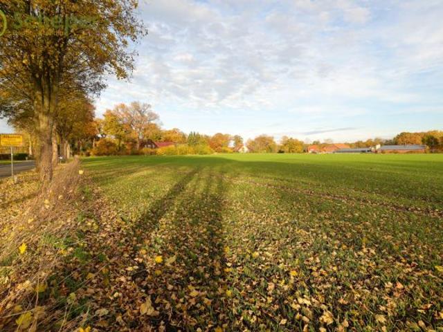 Wohnen mit Weitblick in Albstedt