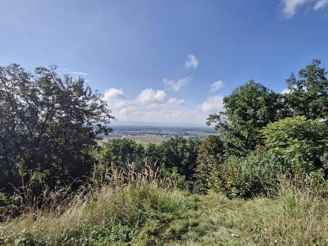 Wohnen mit Weitblick – Sechterberg 85, Feldkirchen an der Donau
