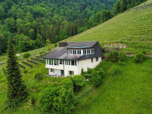 Wohnen, wo andere träumen – Ihr Rückzugsort in den Villiger Rebbergen | dreamo. Ch