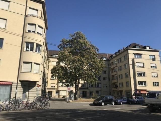 Wohnen, wo Basel am schönsten ist Altbauwohnung am Basler Rheinbord