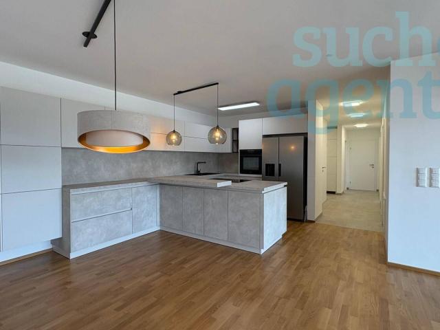 Wohnen und Arbeiten unter einem Dach! Neuwertige 4 Zimmerwohnung mit XXL Terrasse und 2 Parkplätze