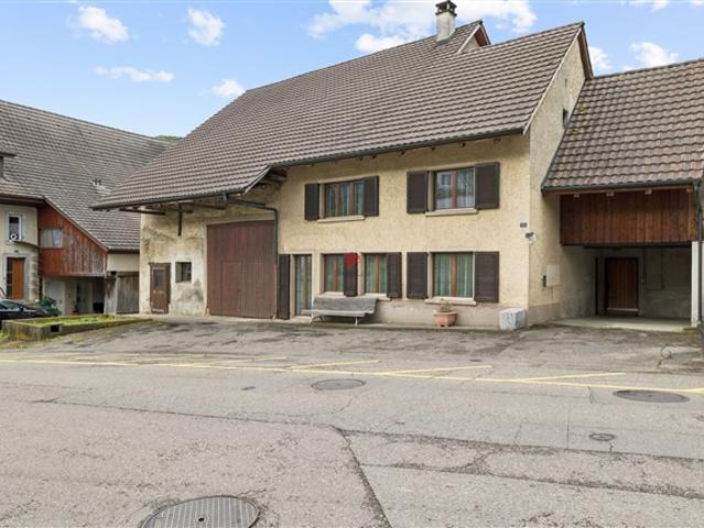 Wohnhaus mit grossem Ökonomiegebäude Raum für Visionen