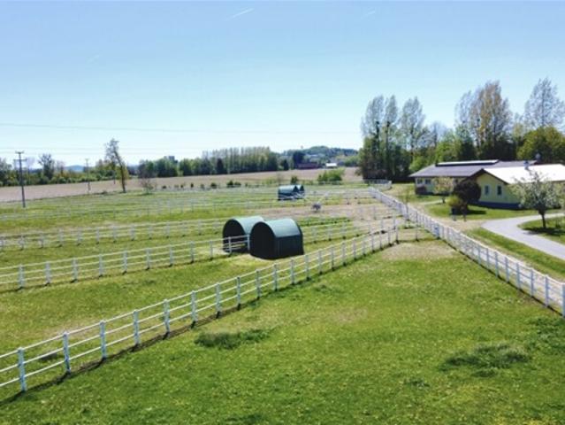 Wohnhaus, neuwertiges Pferdegestüt, eigene Zufahrt und Trainingsbahn!