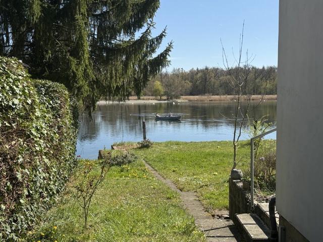 Wohnqualität direkt am Rhein im Büsinger Rheinparadies
