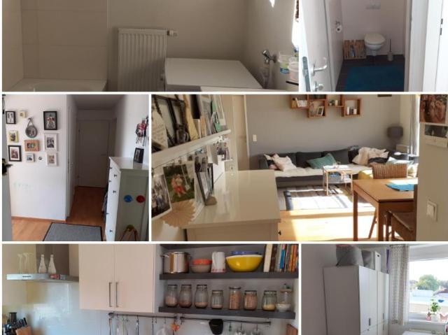Wohnung mit 4 Schlafzimmer Pyhra 3143 ES98135220