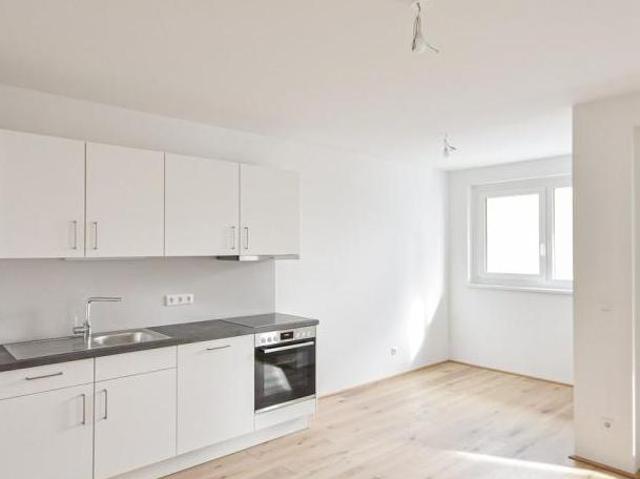 Wohnung mit 2 Schlafzimmer Wien 1140 DS101105918