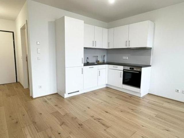 Wohnung mit 2 Schlafzimmer Wien 1140 DS101253938