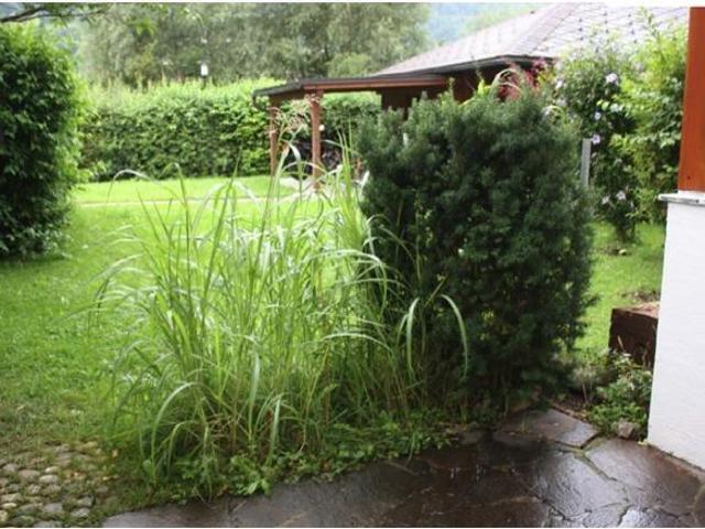 Wohnung mit 2 Schlafzimmer Hallein 5400 DLS98488108