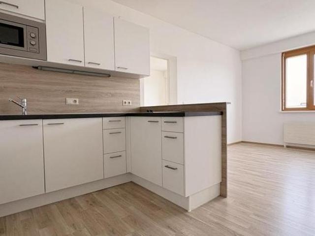 Wohnung mit 2 Schlafzimmer Oberösterreich 4600 DLS100666368