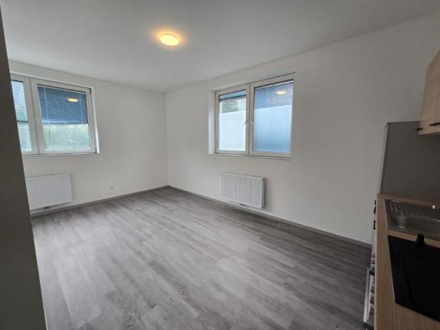 Wohnung mit 2 Schlafzimmer Spittal an der Drau 9800 ES98608364
