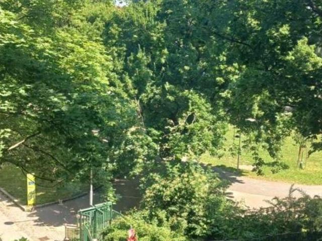 Wohnung mit 3 Schlafzimmer Wien 1020 DS100042843