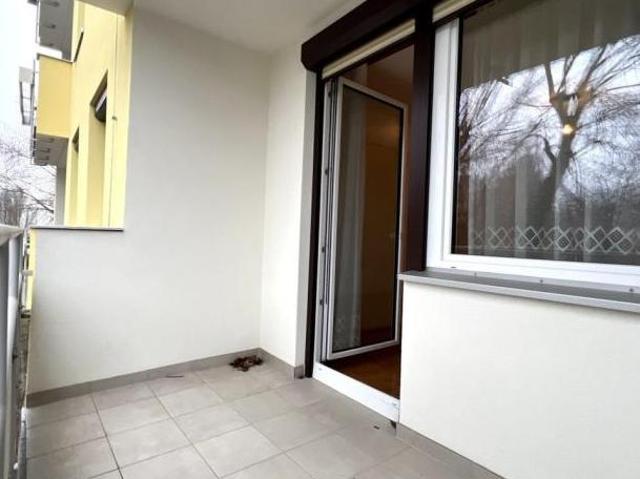 Wohnung mit 3 Schlafzimmer Niederösterreich 2103 DLS97661316