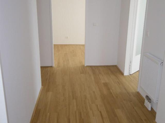 Wohnung mit 3 Schlafzimmer Schwechat 2320 ELS98453427