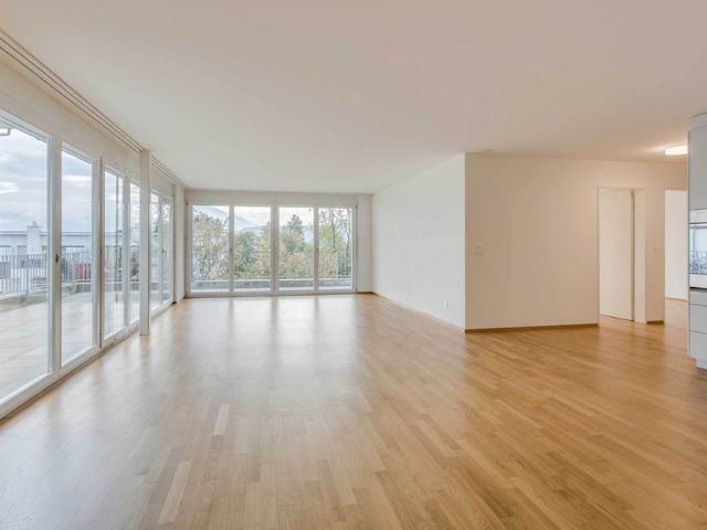 Wohnung mit herrlicher Aussicht in Meierskappel