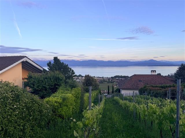 Wohnung mit Panoramablick auf den See und geplante Erweiterung