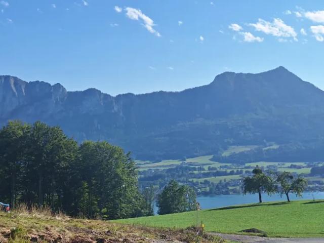 Wohnung Mondsee Mondsee 105331920