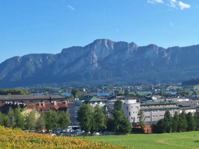 Wohnung Mondsee Mondsee 105332151