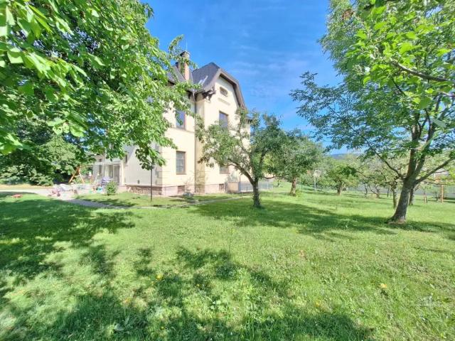 Wohnung Bad Vöslau Bad Vöslau 103882694