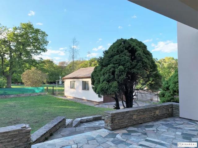 Wohnung Bad Vöslau Bad Vöslau 103149565
