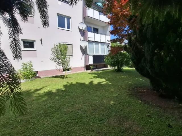Wohnung Bad Schallerbach Bad Schallerbach 104321586
