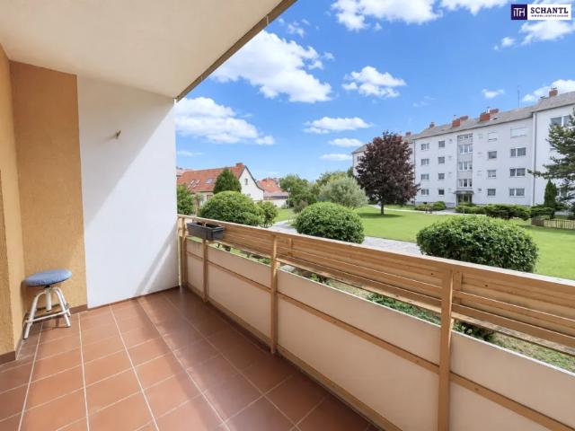 Wohnung Ebergassing Ebergassing 103377922