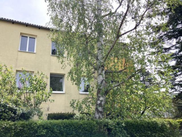 Wohnung Hinterbrühl 2371 DS102203096