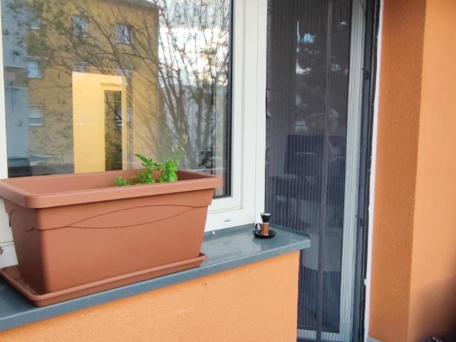 Wohnung Immobilie Voitsberg GS102057383