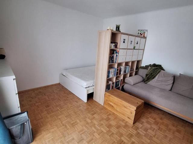 Wohnung Immobilie Linz GS96264773