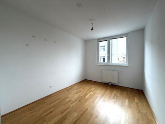 Wohnung Immobilie St. Pölten GS102242257