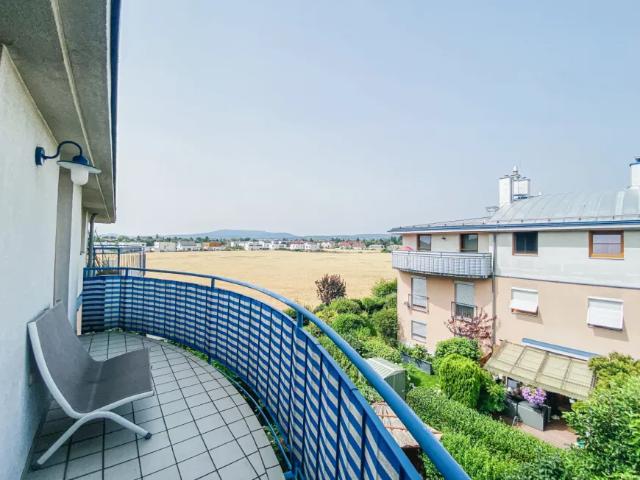 Wohnung Perchtoldsdorf Perchtoldsdorf 103155617