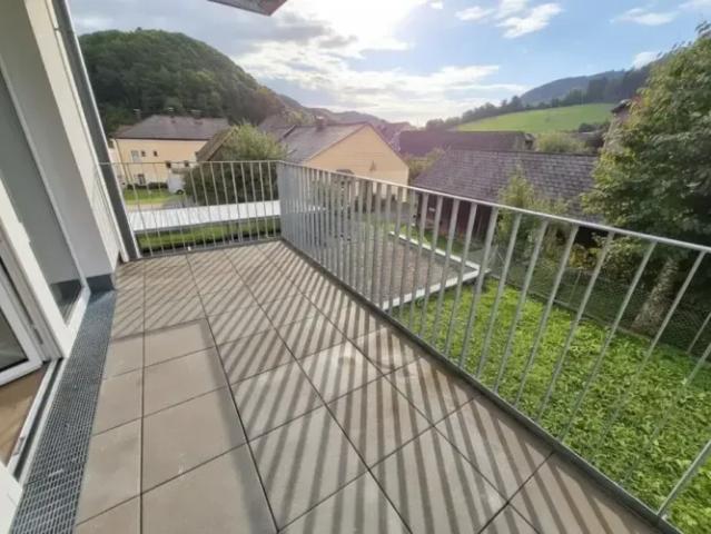 Zu Vermieten Wohnung Randegg Randegg DS102242340