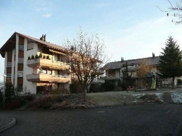 Wohnung sucht Single | dreamo. Ch