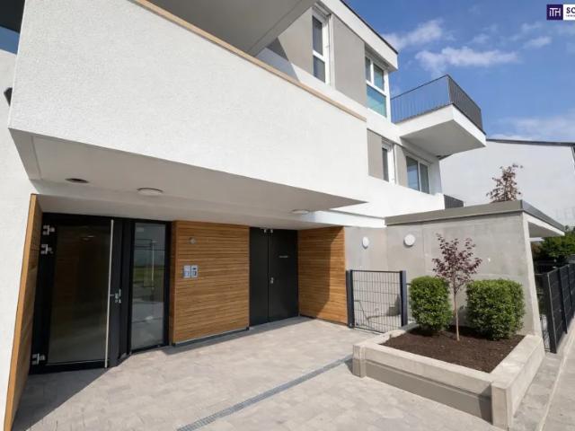Wohnung Schwechat Schwechat 103428879