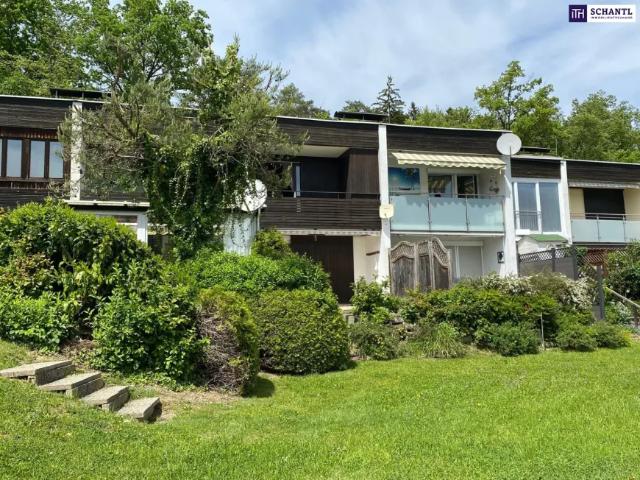 Wohnung Waldschach Waldschach 103150104