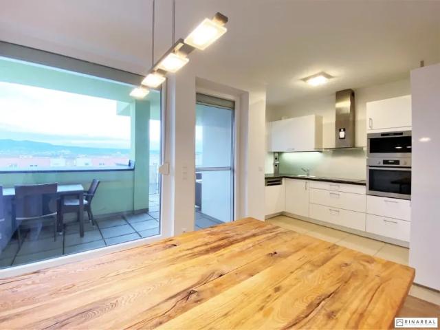 Wohnung Wiener Neudorf Wiener Neudorf 103149239