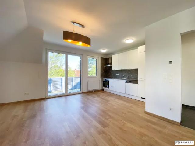 Wohnung Wiener Neustadt Wiener Neustadt 103148874